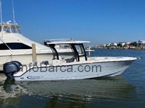 Robalo R302 scheda tecnica e recensioni